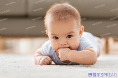 泰国国际医院助孕全攻略-十年顾问的掏心窝子建议