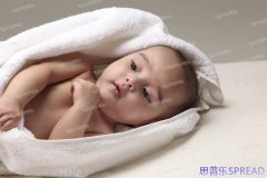 赴美生子国籍真相一位助孕顾问的坦诚对话