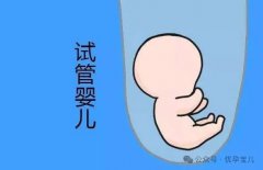 二代试管与三代试管：技术差异与适用人群对比