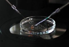 移植三天冻胚18天有点出血正不正常？