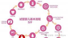 三代试管详细流程，记住这几个阶段！一个周期费用只有这些！