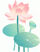 【护您好孕】试管之路 心态护航迎好孕