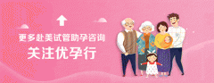 探秘日本顶尖试管婴儿医疗机构：技术与服务的完美结合
