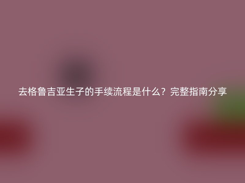 去格鲁吉亚生子的手续流程是什么？完整指南分享