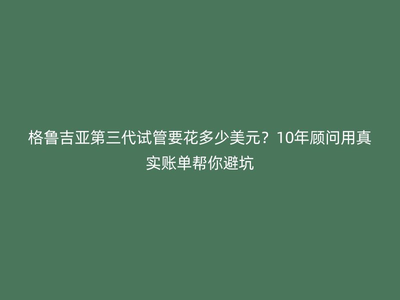 格鲁吉亚第三代试管要花多少美元？10年顾问用真实账单帮你避坑