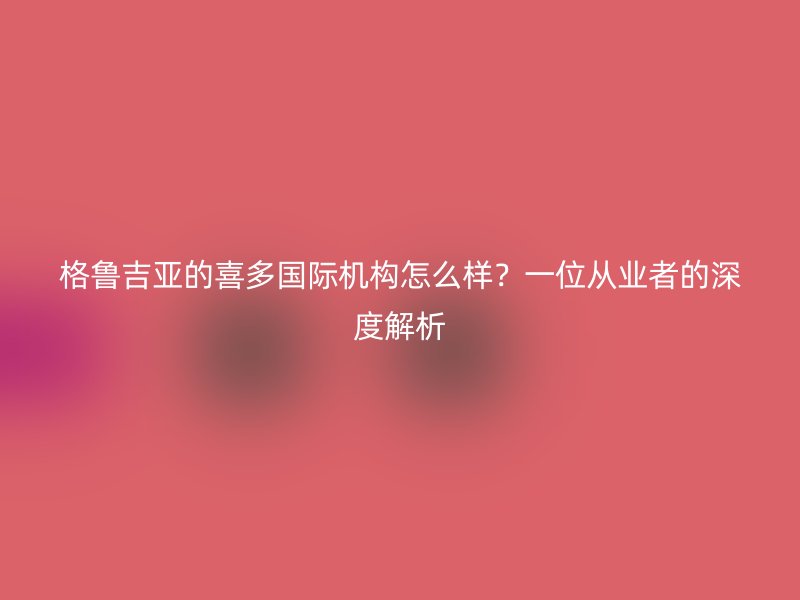 格鲁吉亚的喜多国际机构怎么样？一位从业者的深度解析