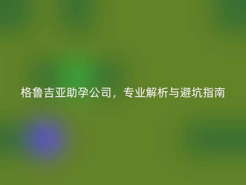 格鲁吉亚助孕公司，专业解析与避坑指南